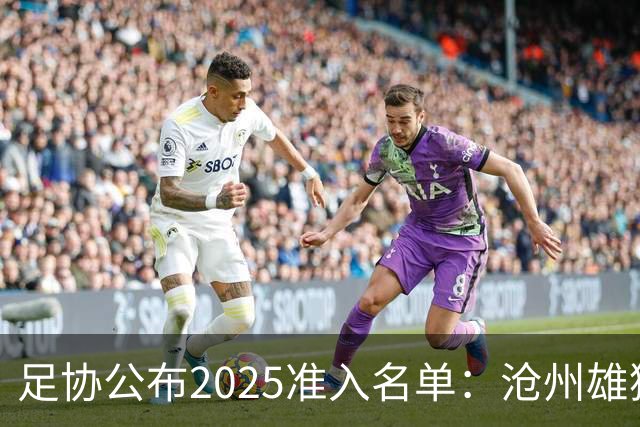 足协公布2025准入名单：沧州雄狮、广州队无缘